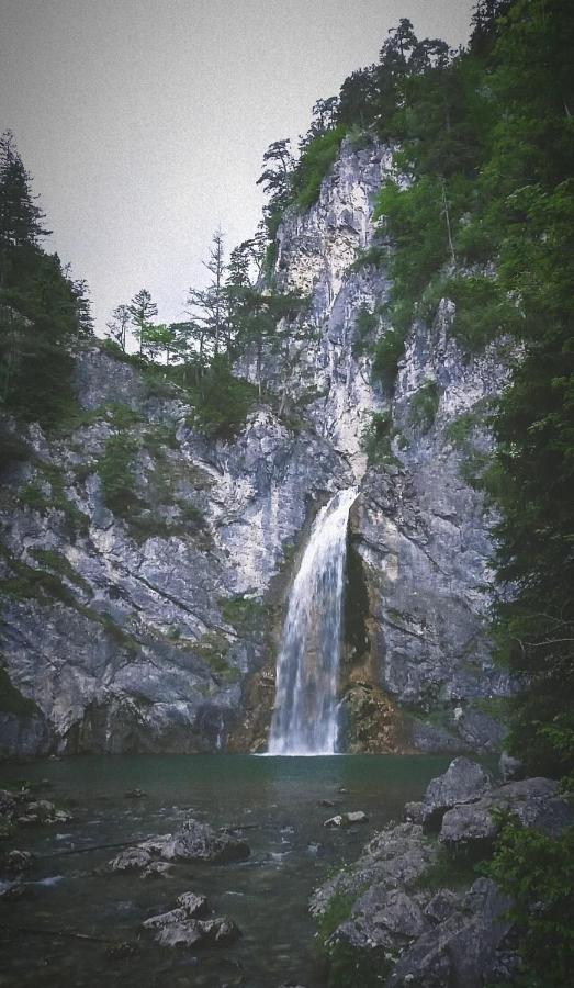 Ferienhaus Walcher Sankt Martin am Grimming エクステリア 写真